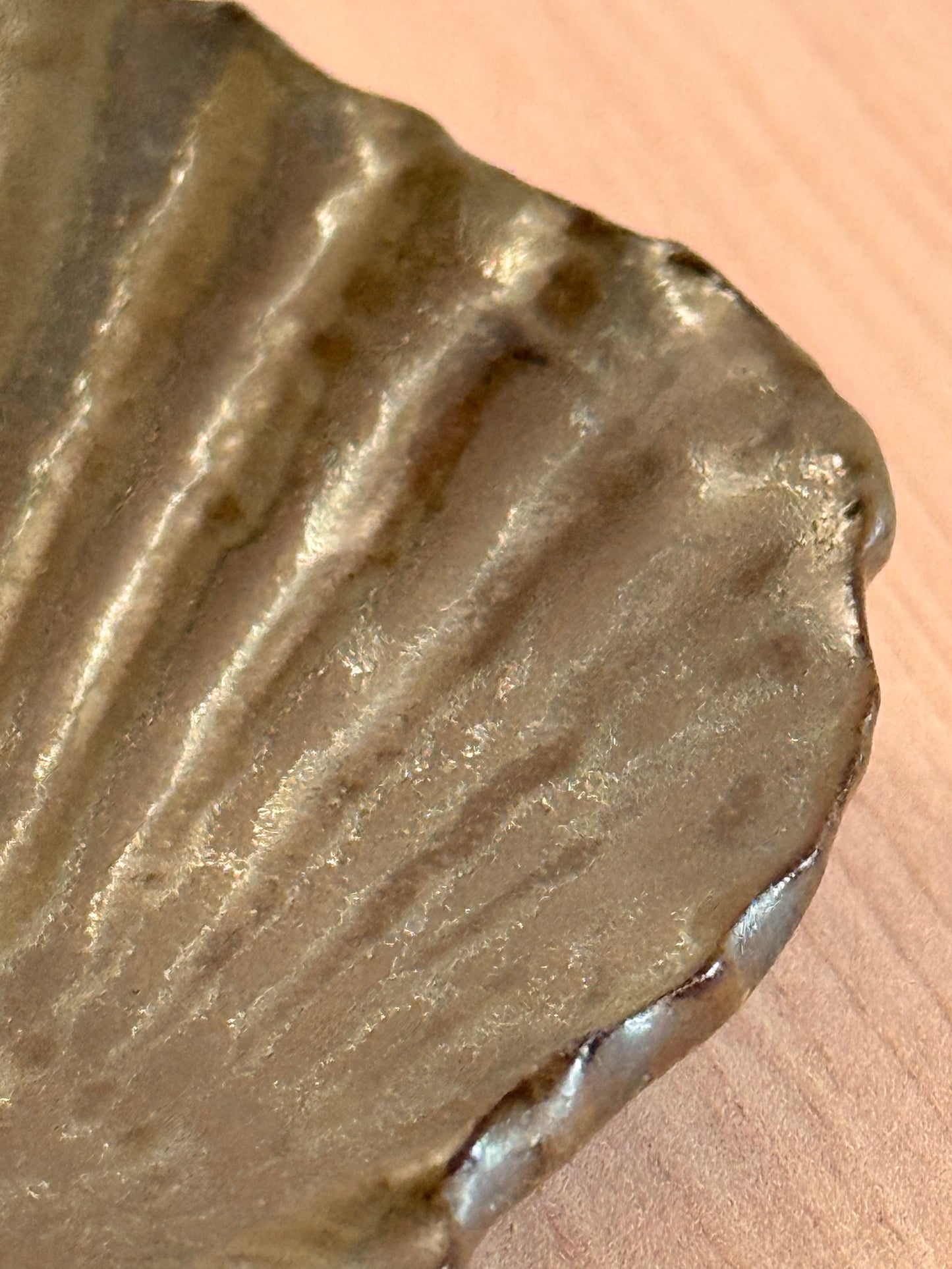 Handmade Ceramic Shell Dish — Deep Green Glaze
